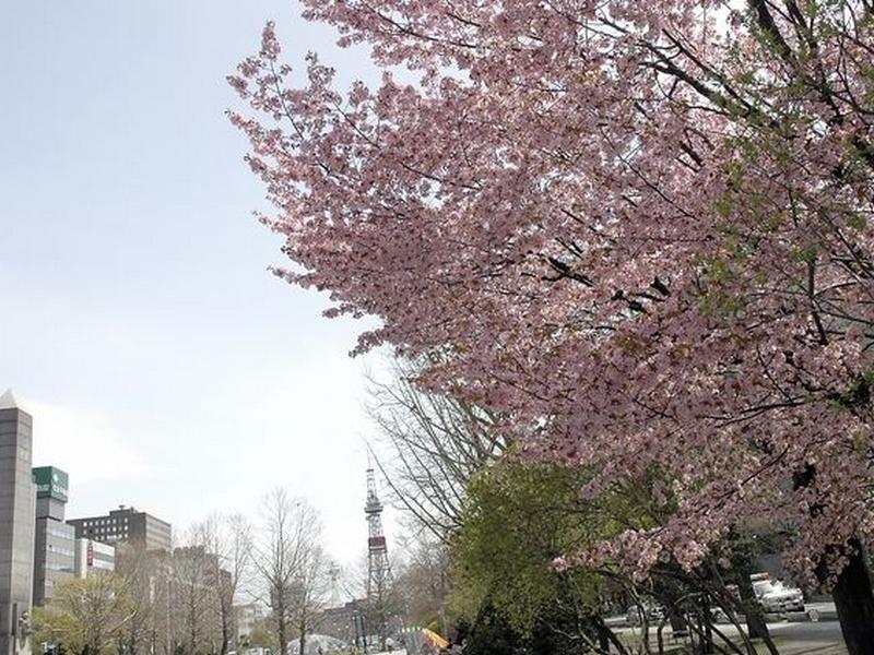 Tmark City Hotel Sapporo Exterior foto